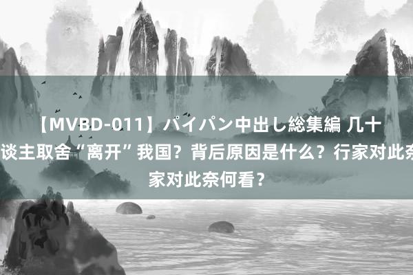 【MVBD-011】パイパン中出し総集編 几十万黑东谈主取舍“离开”我国？背后原因是什么？行家对此奈何看？